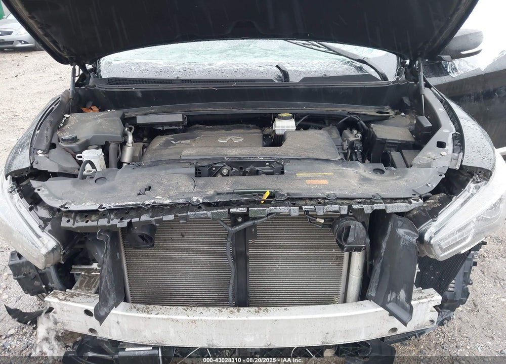 2019 INFINITI QX60 VIN: 5N1DL0MM2KC566650