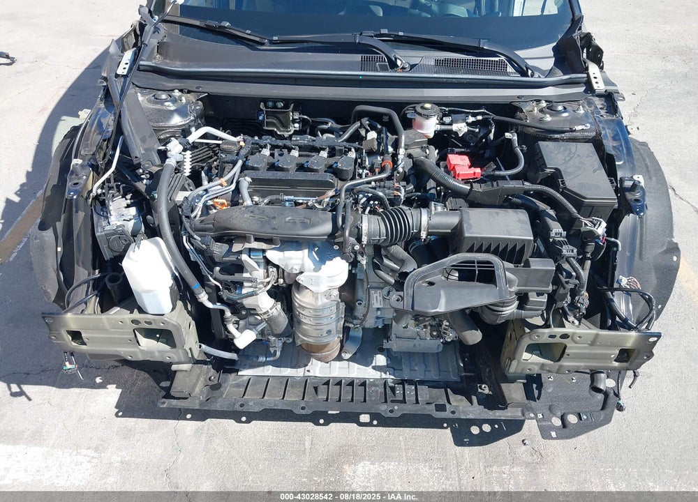 2024 HONDA ACCORD LX VIN: 1HGCY1F25RA074544