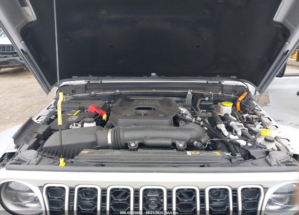 2024 JEEP WRANGLER / VIN: 1C4RJXP64RW148427