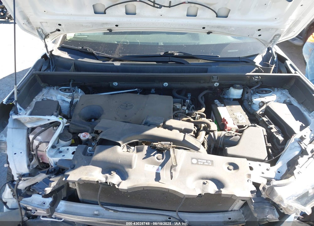 2019 TOYOTA RAV4 VIN: 2T3K1RFV3KW010162