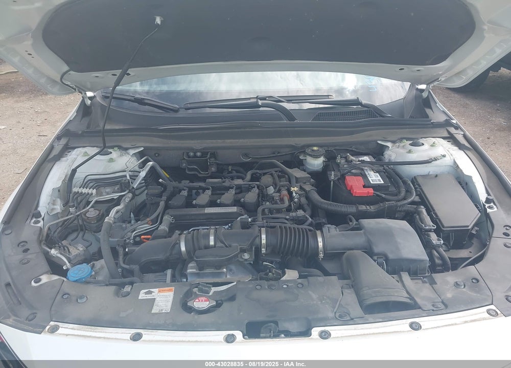 2019 HONDA ACCORD EX VIN: 1HGCV1F43KA176330