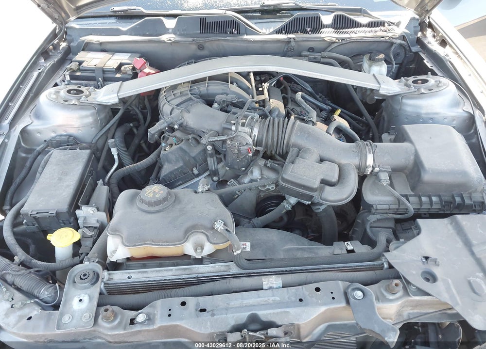 2013 FORD MUSTANG VIN: 1ZVBP8AM9D5275666