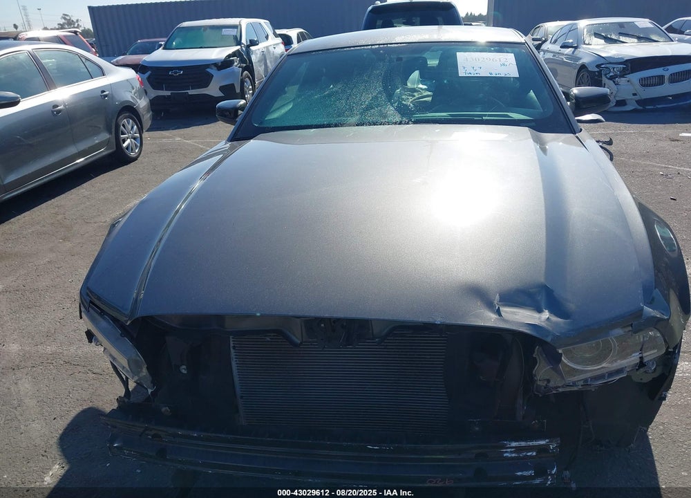 2013 FORD MUSTANG VIN: 1ZVBP8AM9D5275666