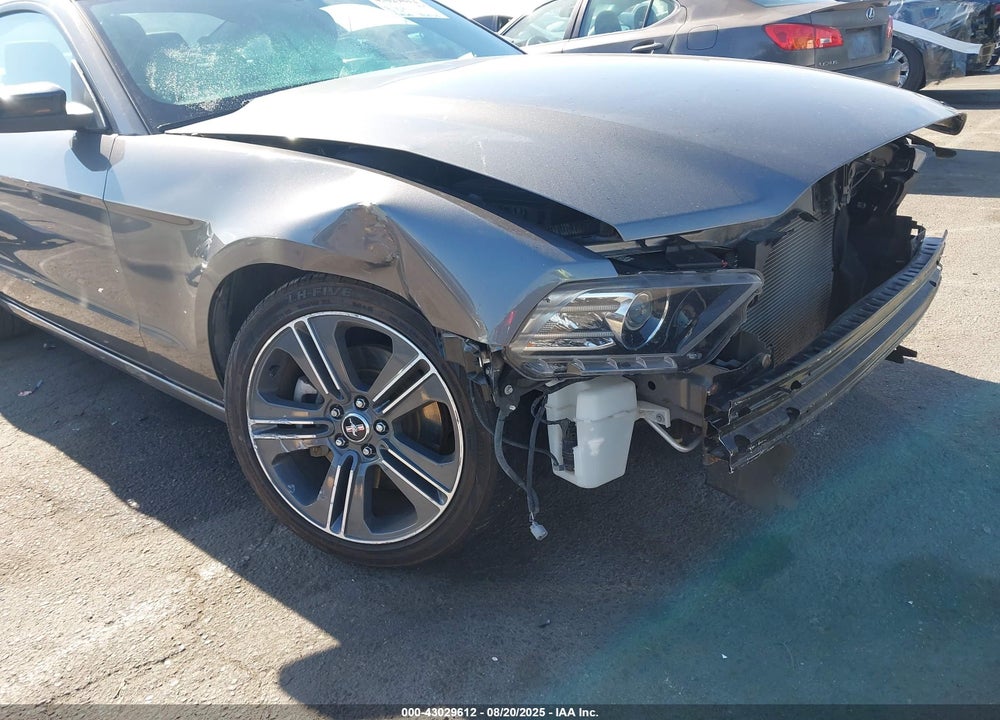 2013 FORD MUSTANG VIN: 1ZVBP8AM9D5275666