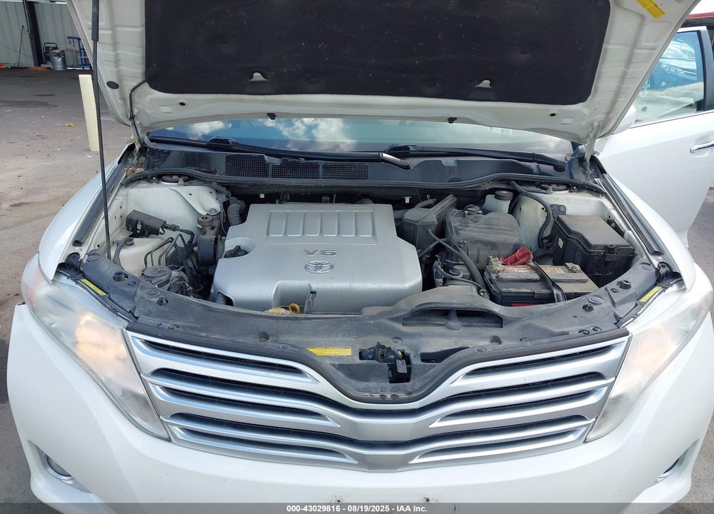 2010 TOYOTA VENZA VIN: 4T3BK3BB5AU041062