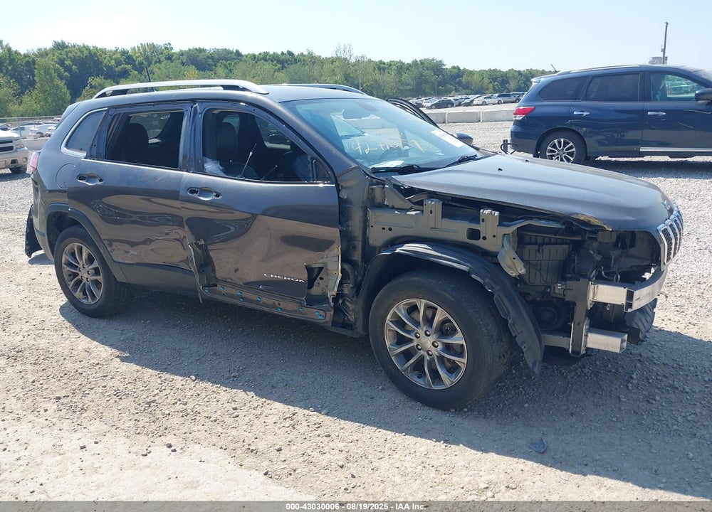 2019 JEEP CHEROKEE VIN: 1C4PJMLB5KD413589