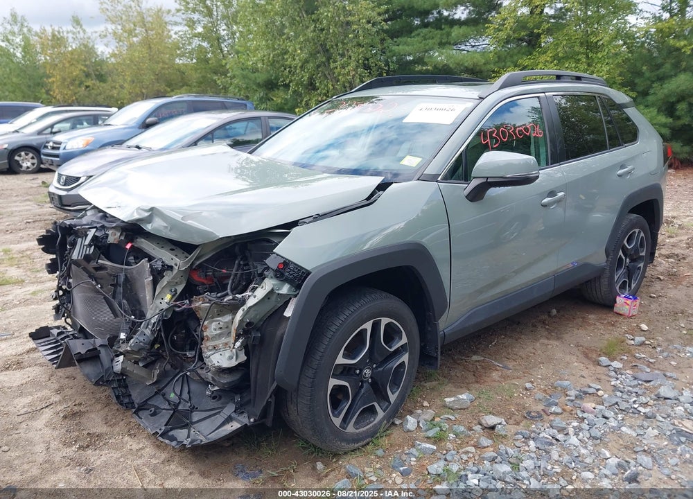 2019 TOYOTA RAV4 VIN: 2T3J1RFV0KW011071
