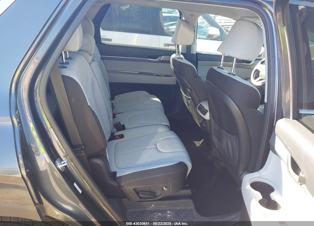 2020 HYUNDAI PALISADE VIN: KM8R14HE2LU064819