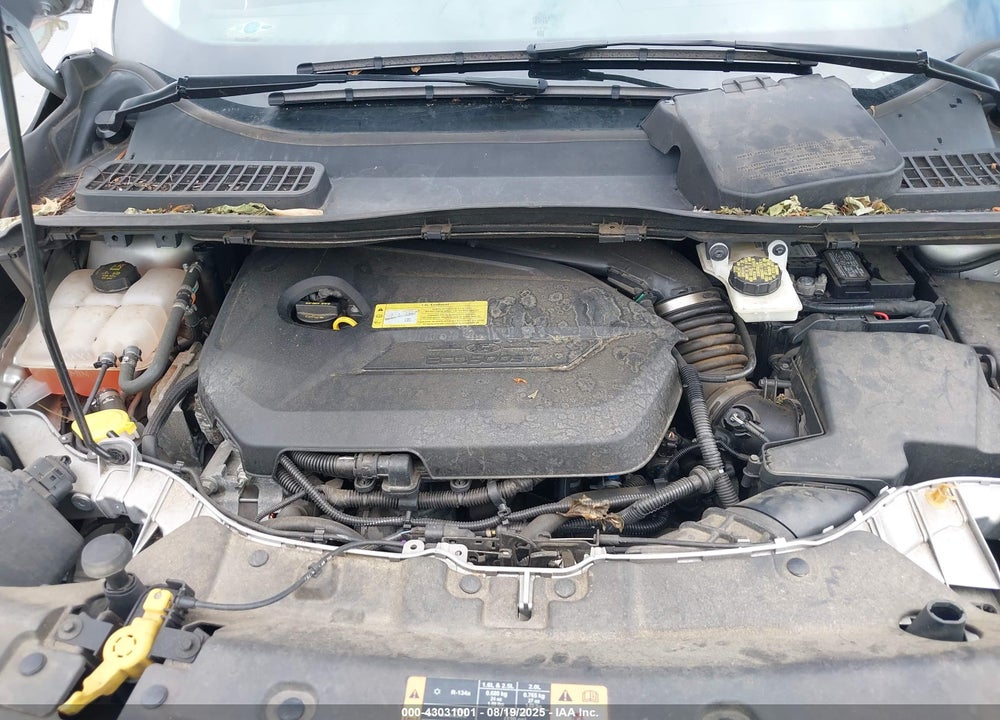 2014 FORD ESCAPE VIN: 1FMCU9JX0EUB42927