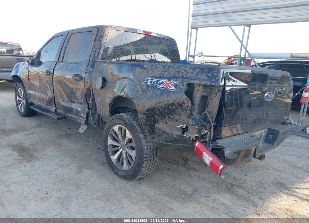 2020 FORD F-150 XL VIN: 1FTEW1CP8LKF36559