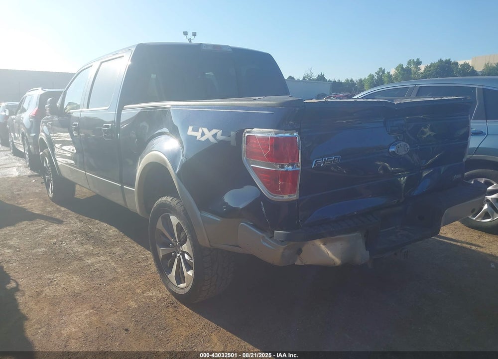 2010 FORD F-150 VIN: 1FTFW1EV2AFA30957