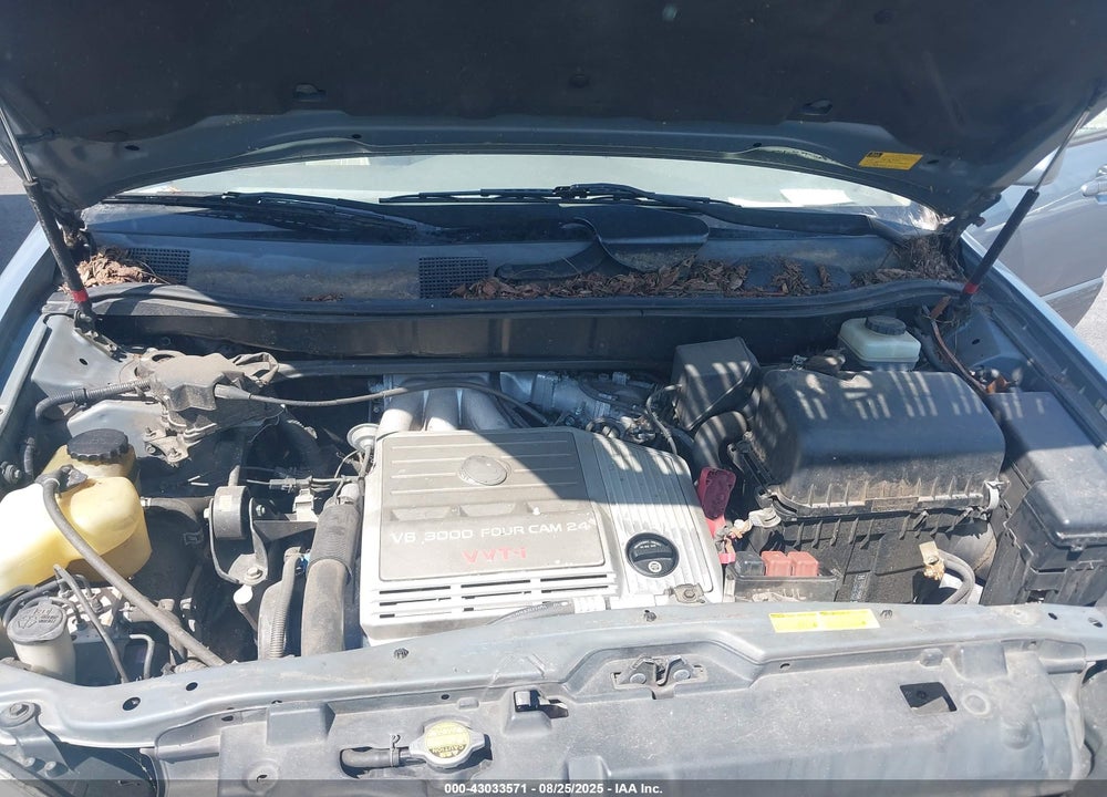 2002 LEXUS RX 300 VIN: JTJGF10U320144793