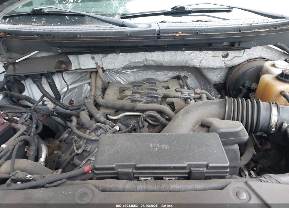 2011 FORD F-150 XLT VIN: 1FTNF1CF3BKD84373