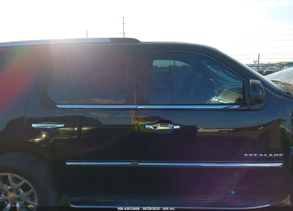 2010 CADILLAC ESCALADE VIN: 1GYUKBEF1AR189947