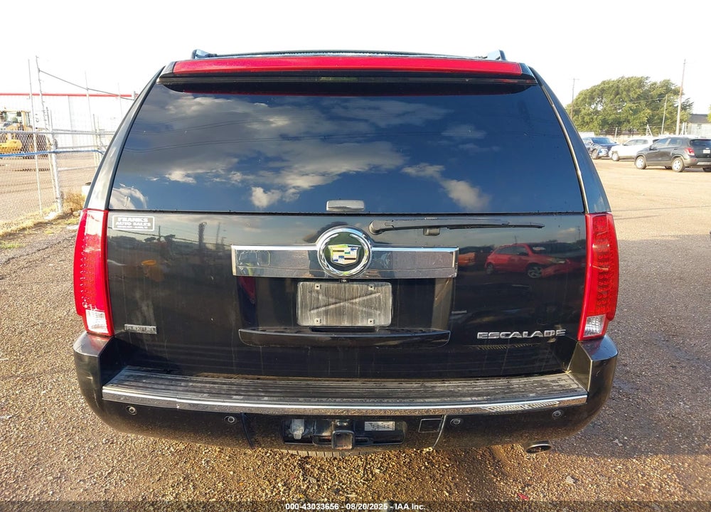 2010 CADILLAC ESCALADE VIN: 1GYUKBEF1AR189947