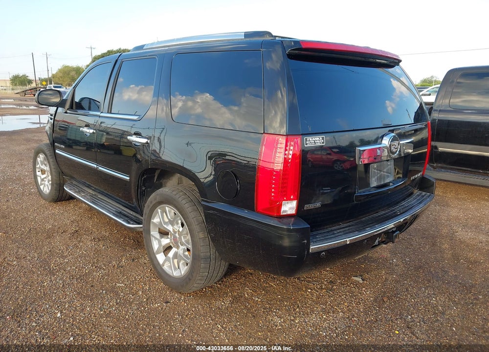 2010 CADILLAC ESCALADE VIN: 1GYUKBEF1AR189947