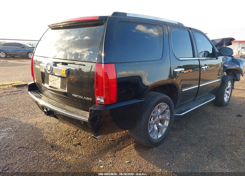 2010 CADILLAC ESCALADE VIN: 1GYUKBEF1AR189947