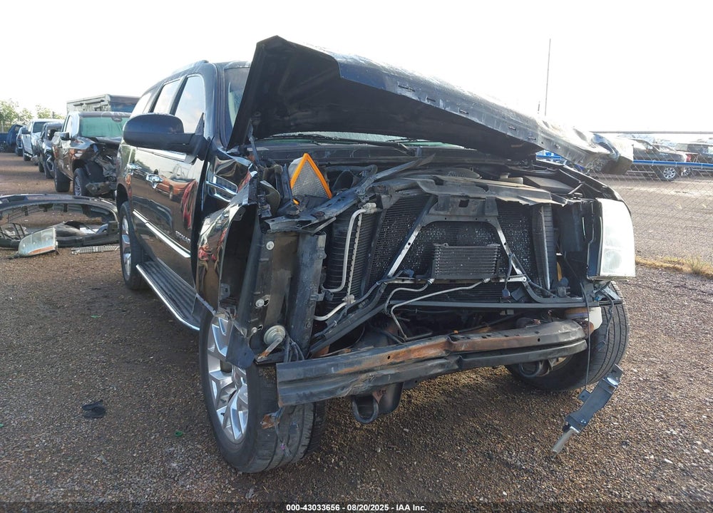 2010 CADILLAC ESCALADE VIN: 1GYUKBEF1AR189947