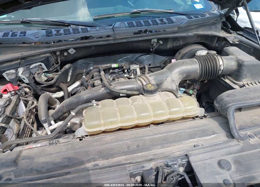 2019 FORD F-150 VIN: 1FTEW1CP8KKC66893