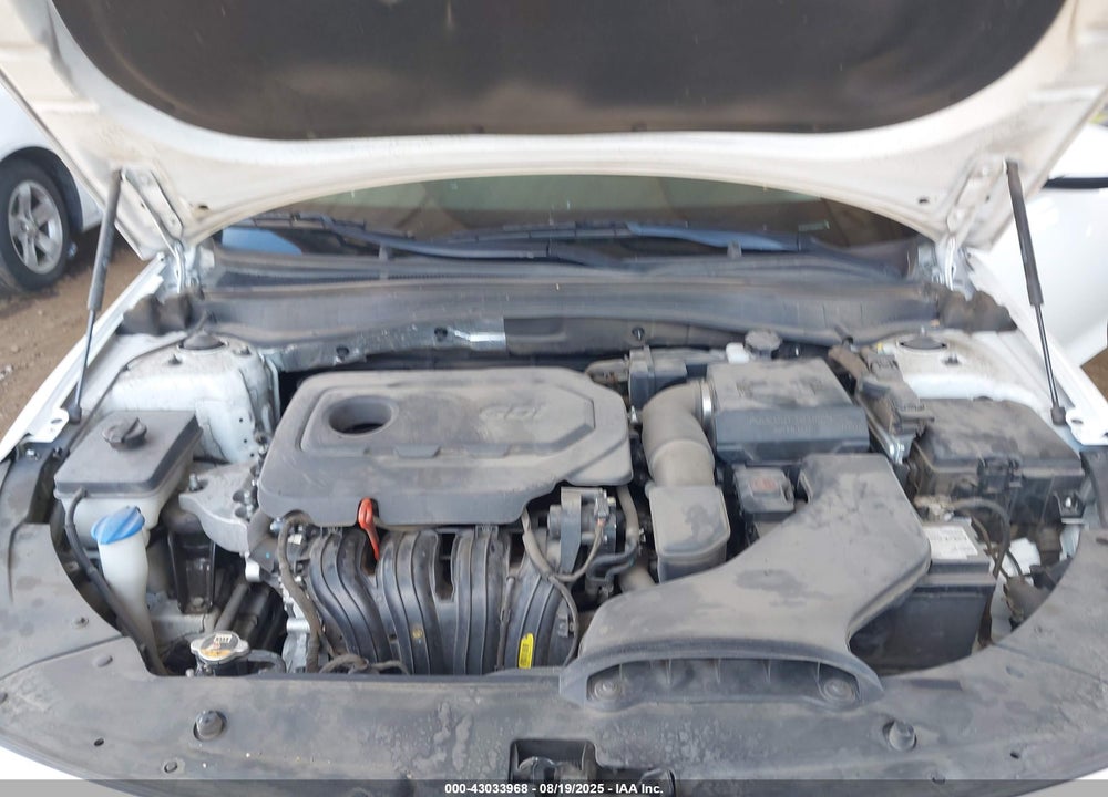 2019 KIA OPTIMA VIN: 5XXGT4L34KG361252