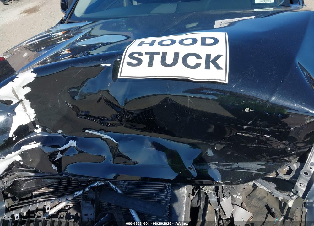 2013 BMW 528I VIN: WBAXG5C51DDY37527