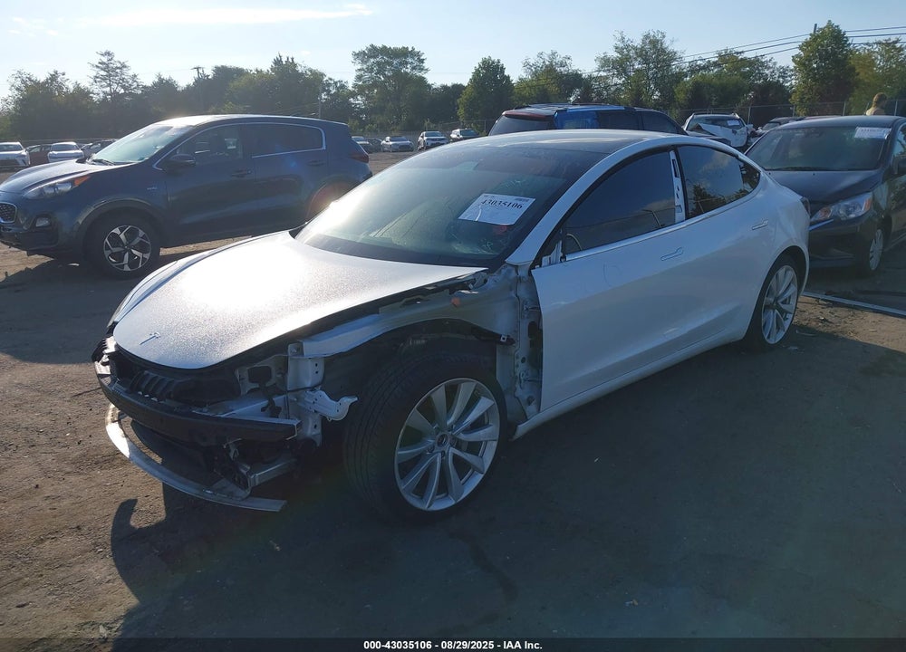 2019 TESLA MODEL 3 VIN: 5YJ3E1EB3KF494325