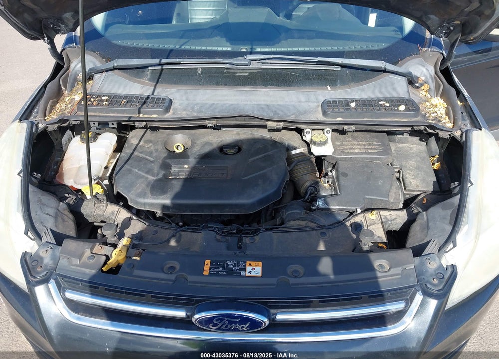 2014 FORD ESCAPE VIN: 1FMCU0J94EUB72896