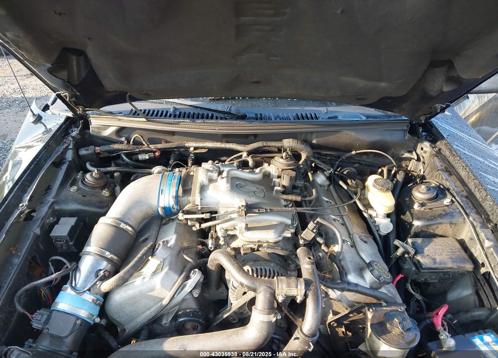 2001 FORD MUSTANG COBRA VIN: 1FAFP46V51F189183