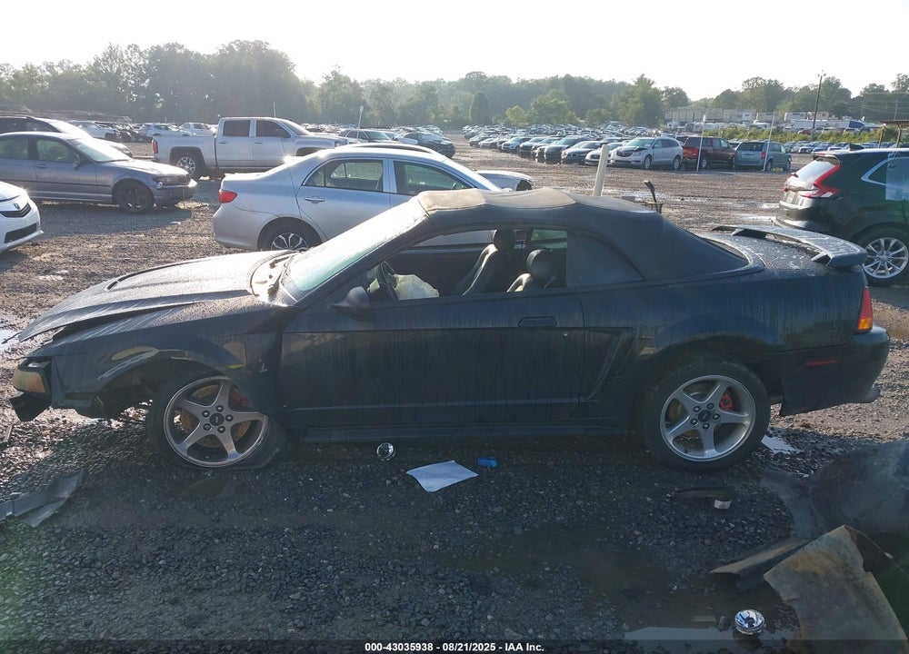 2001 FORD MUSTANG COBRA VIN: 1FAFP46V51F189183