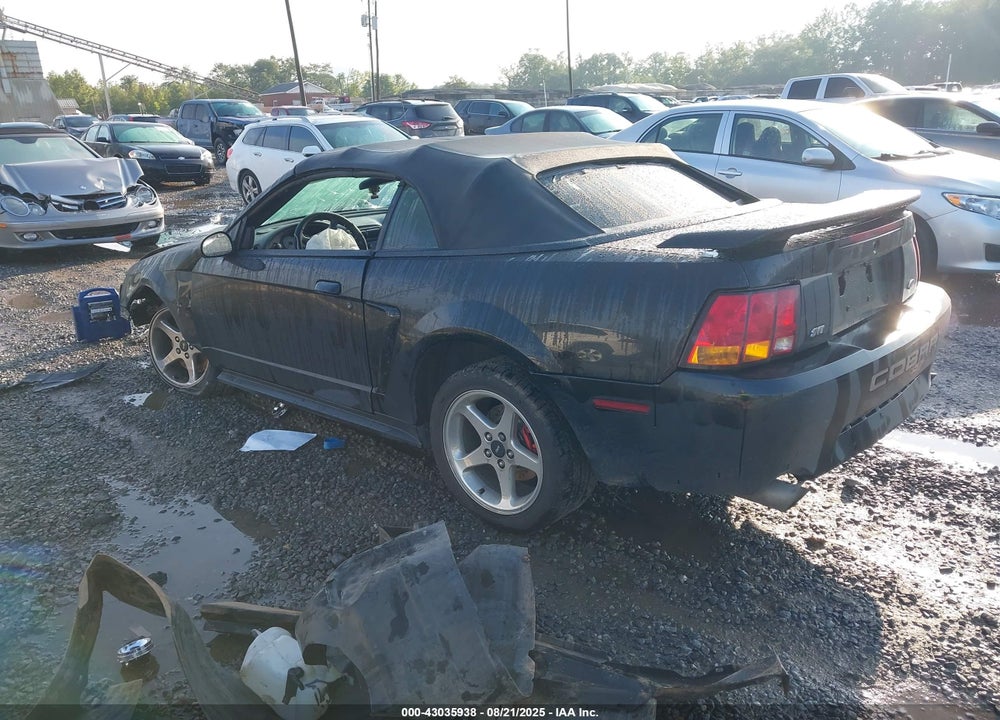 2001 FORD MUSTANG COBRA VIN: 1FAFP46V51F189183