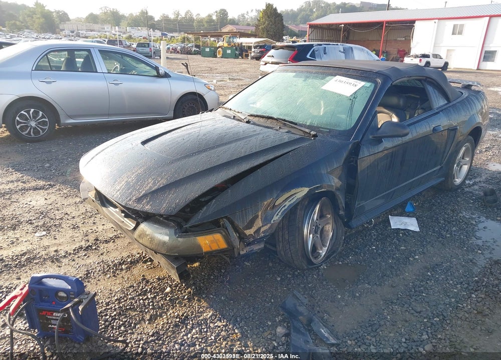 2001 FORD MUSTANG COBRA VIN: 1FAFP46V51F189183