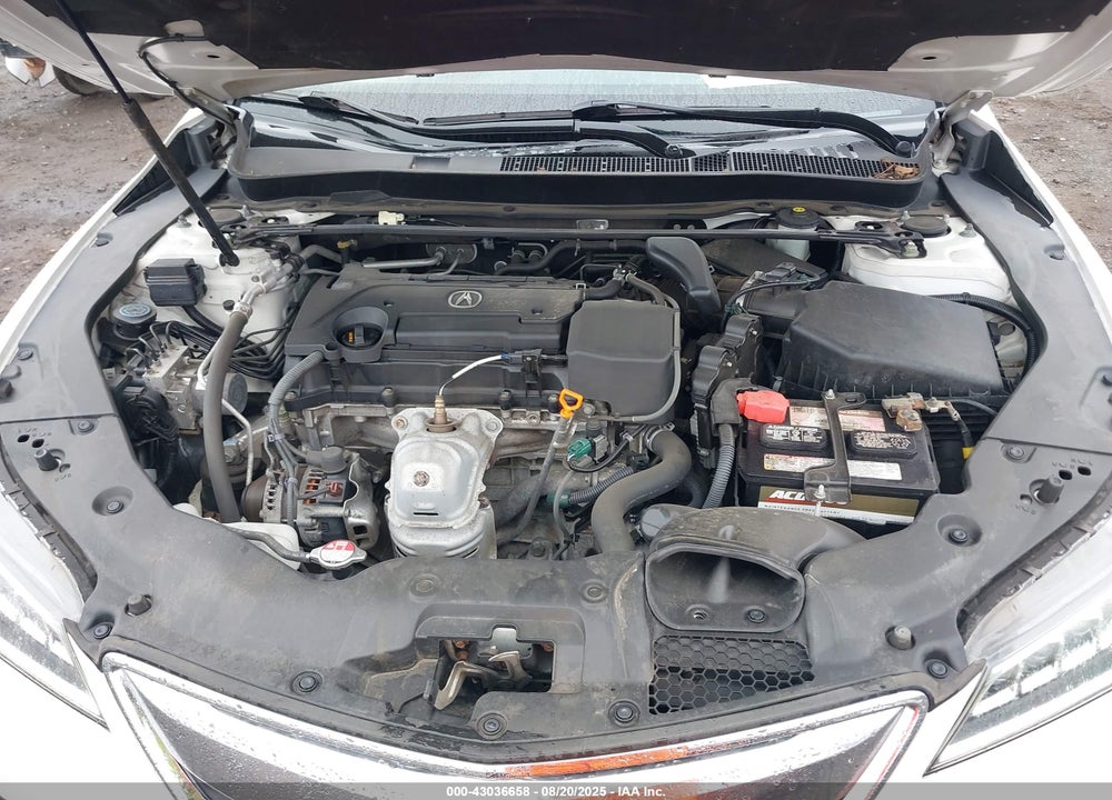 2017 ACURA TLX VIN: 19UUB1F50HA005095