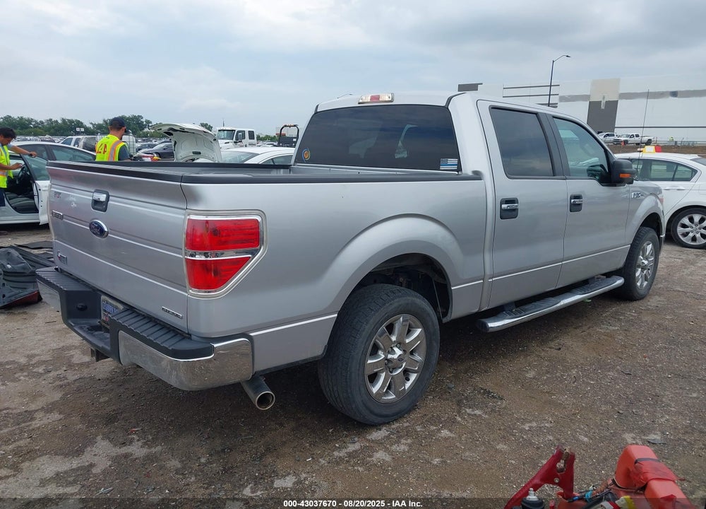 2013 FORD F-150 XLT VIN: 1FTFW1CF9DFD33394