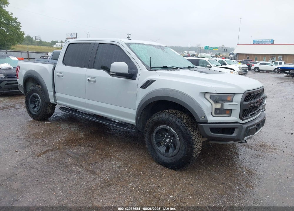 2017 FORD F-150 RAPTOR VIN: 1FTFW1RGXHFB81776