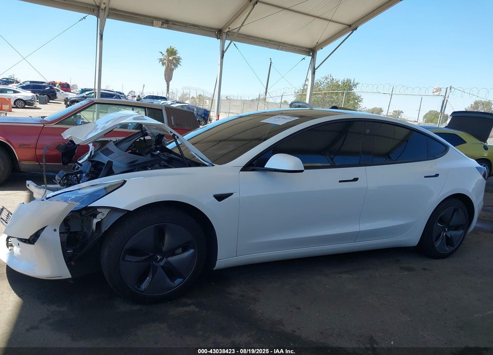 2021 TESLA MODEL 3 VIN: 5YJ3E1EA0MF026126