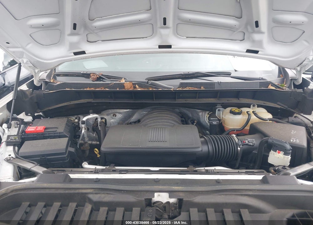 2019 CHEVROLET SILVERADO 1500 VIN: 1GCPYCEF6KZ304048
