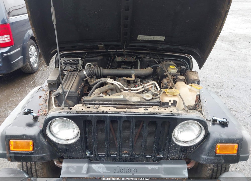 2002 JEEP WRANGLER X VIN: 1J4FA39S22P758455