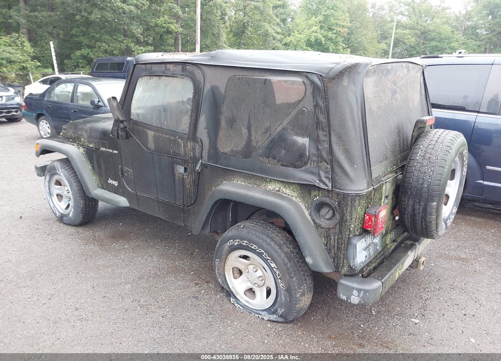2002 JEEP WRANGLER X VIN: 1J4FA39S22P758455