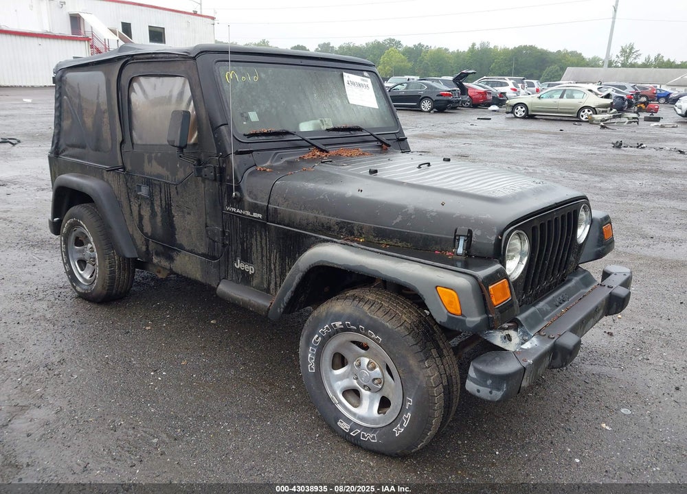 2002 JEEP WRANGLER X VIN: 1J4FA39S22P758455