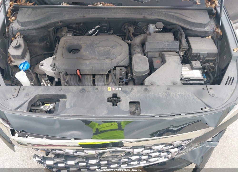 2019 HYUNDAI SANTA FE VIN: 5NMS5CAD9KH029867