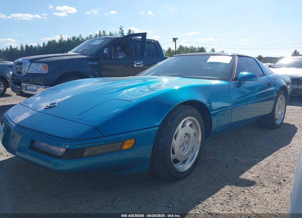 1992 CHEVROLET CORVETTE VIN: 1G1YY23PXN5111769