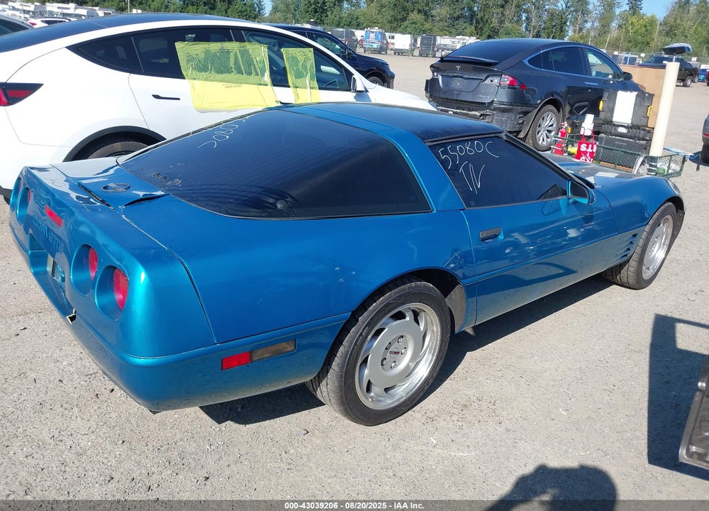 1992 CHEVROLET CORVETTE VIN: 1G1YY23PXN5111769