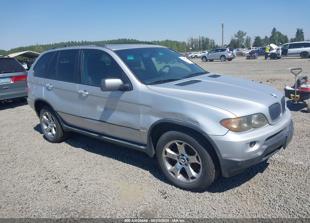 2006 BMW X5 3.0I VIN: 5UXFA13516LY29069