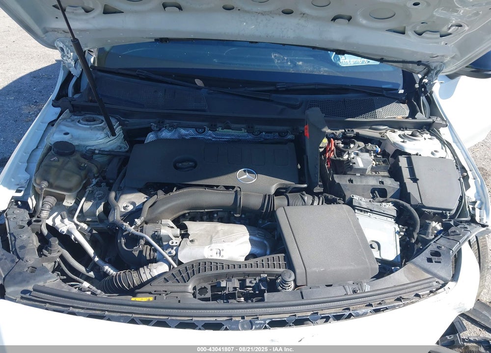 2020 MERCEDES-BENZ A 220 VIN: WDD3G4EBXLW037901