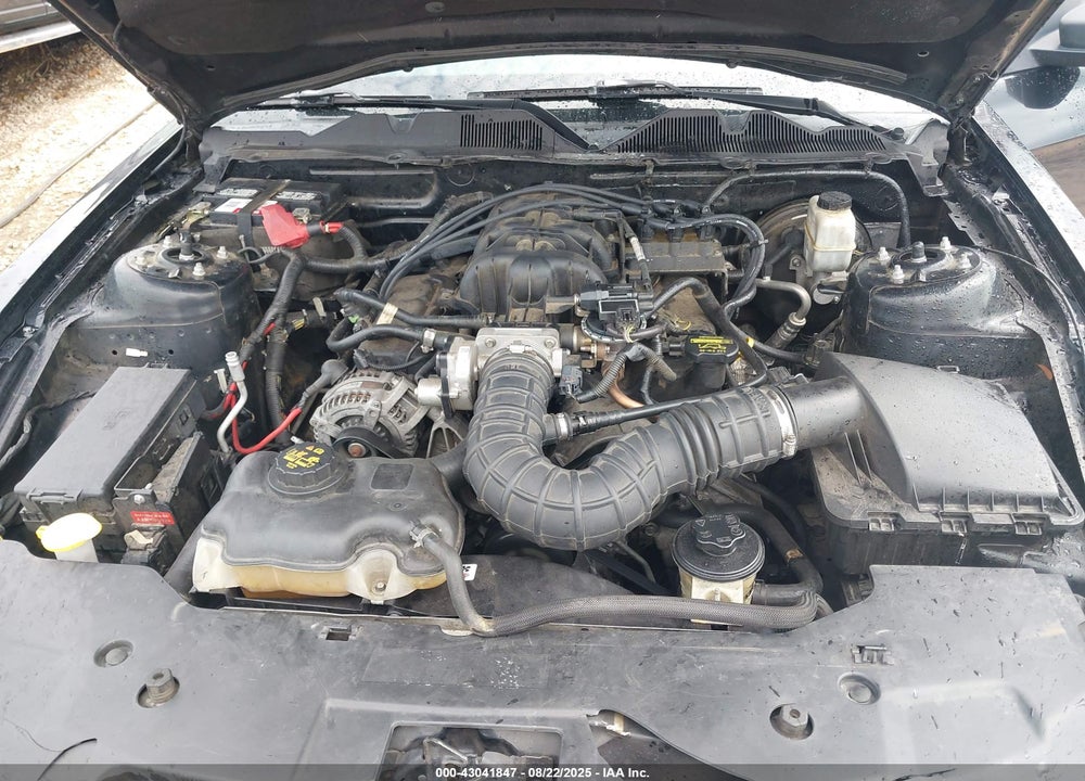 2010 FORD MUSTANG VIN: 1ZVBP8EN7A5172034