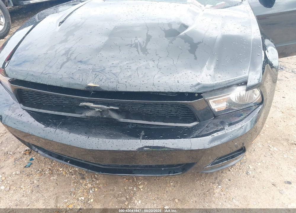 2010 FORD MUSTANG VIN: 1ZVBP8EN7A5172034