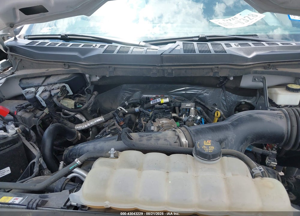 2021 FORD F-150 VIN: 1FTEW1CP3MKD86670