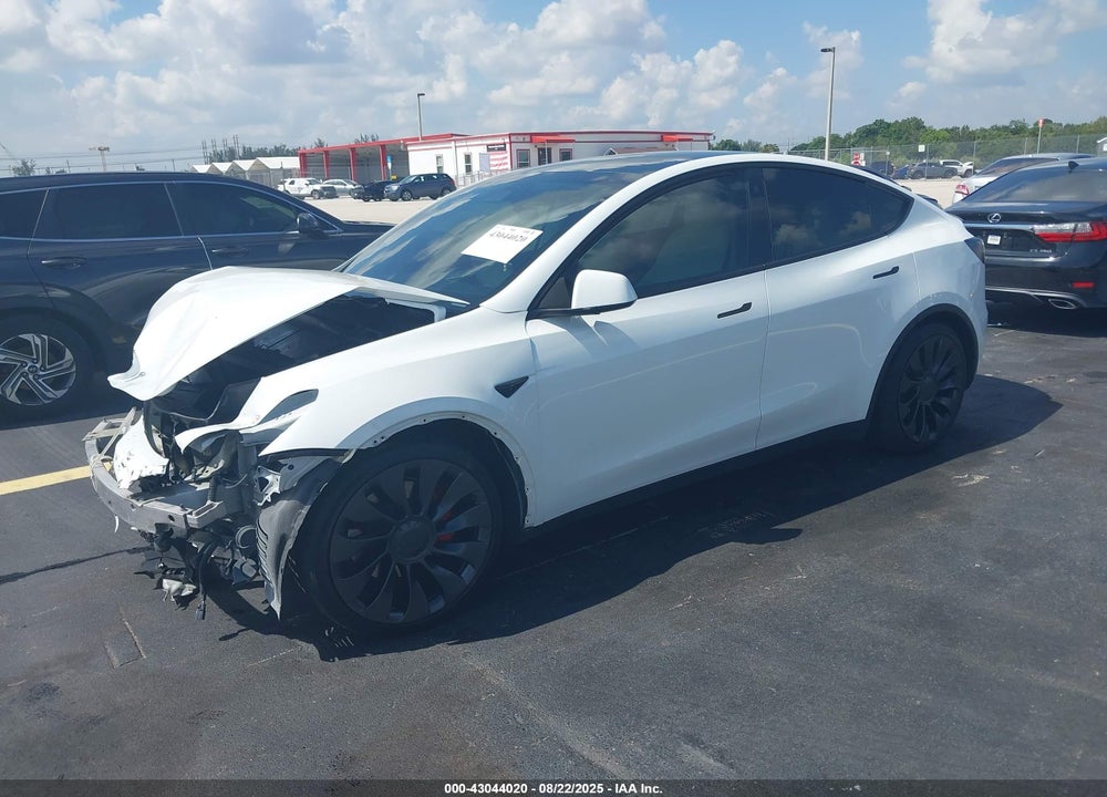 2022 TESLA MODEL Y VIN: 7SAYGDEFXNF567637
