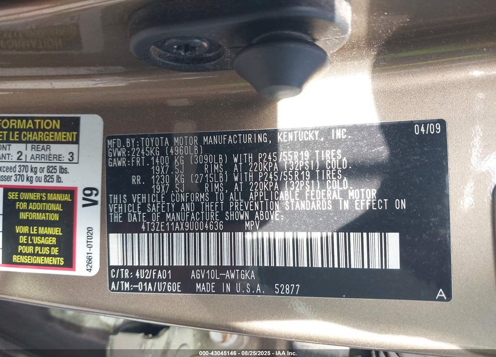 2009 TOYOTA VENZA VIN: 4T3ZE11AX9U004636