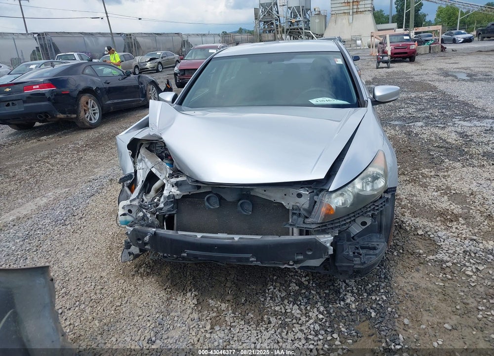 2010 HONDA ACCORD VIN: 1HGCP2F46AA047061